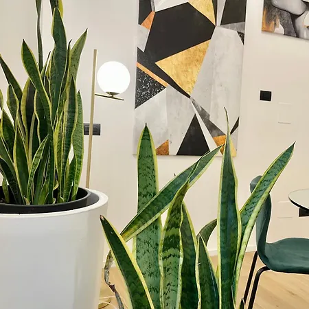 Loft Manifatture2 *
